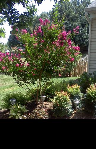 flower bed installation in Northern Virginia