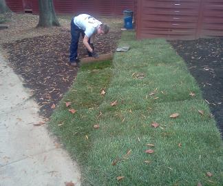 Sod install price arlinton va