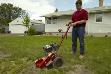 Stump Cutter Service Northern Virginia